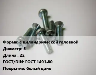 Винт с цилиндрической головкой 5х22 ГОСТ 1491-80 белый цинк